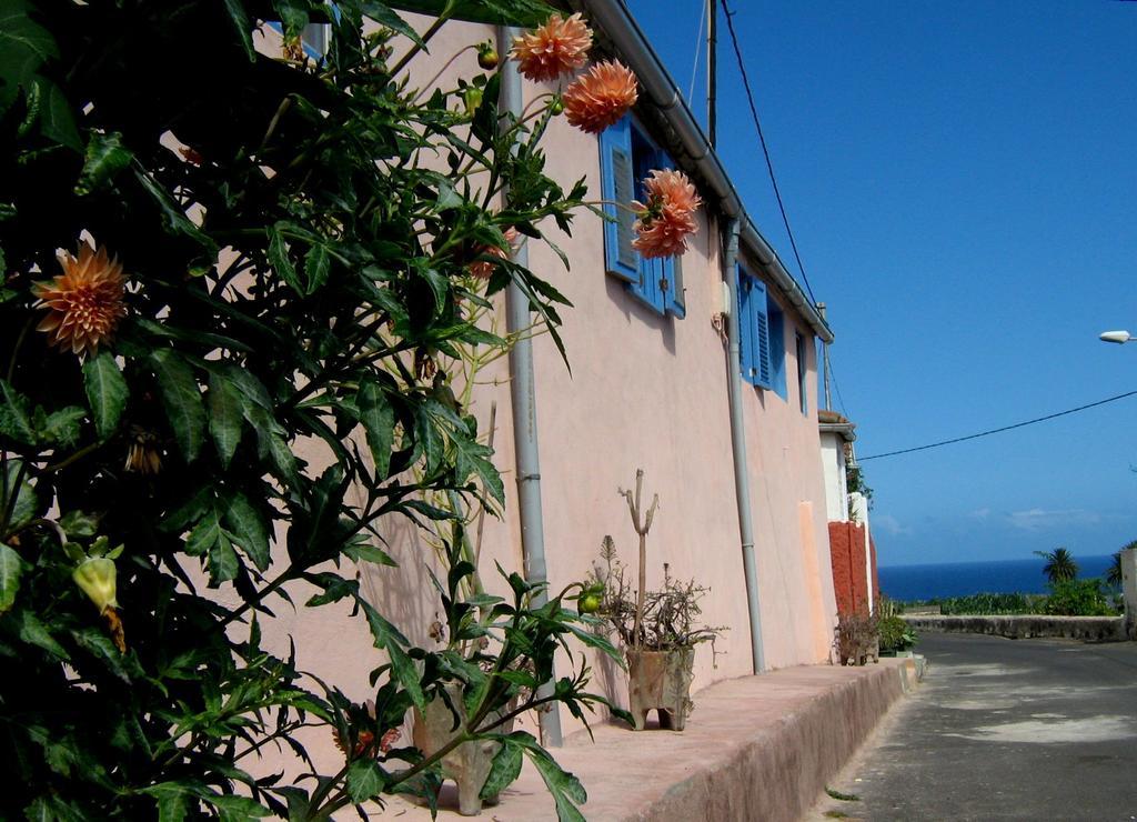 Casa Coronela Villa Garachico  Bagian luar foto
